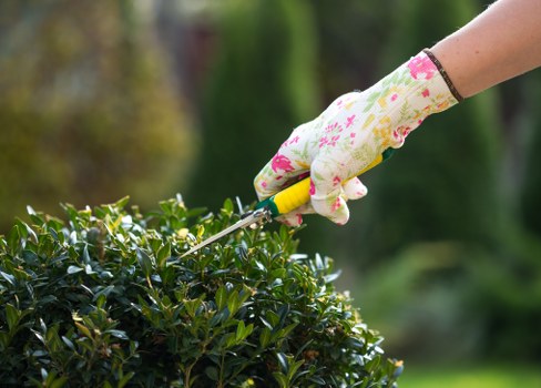 Landscape maintenance team working in a Wimbledon garden
