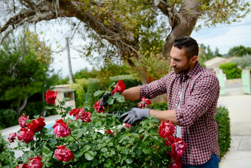 Equipment safety and training for landscaping staff