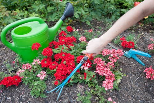 Residential soft landscaping with shrubs and lawn in Wimbledon