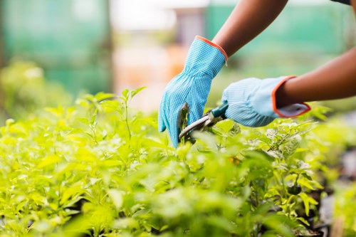 Worker reporting a site hazard during landscaping