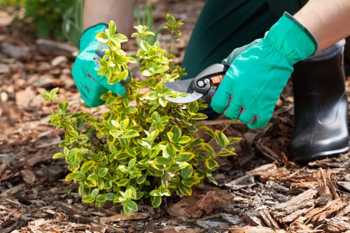 Local team assessing garden waterlogging in Wimbledon