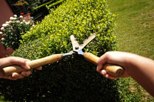 Liability, safety, and cancellation conditions for landscaping services