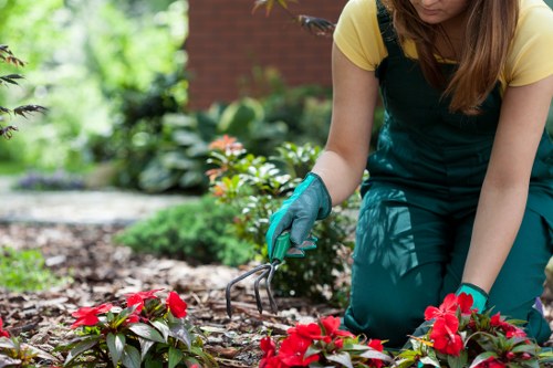 Low-carbon van used for sustainable landscaping service in Wimbledon
