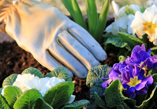 Safe site management and boundary control in landscaping