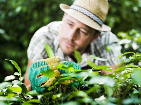A screen-reader-friendly website layout for Wimbledon landscaping services