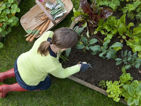 Accessibility request section for landscaping services in Wimbledon
