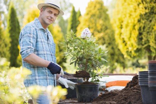 Free landscaping quote for a Wimbledon courtyard garden