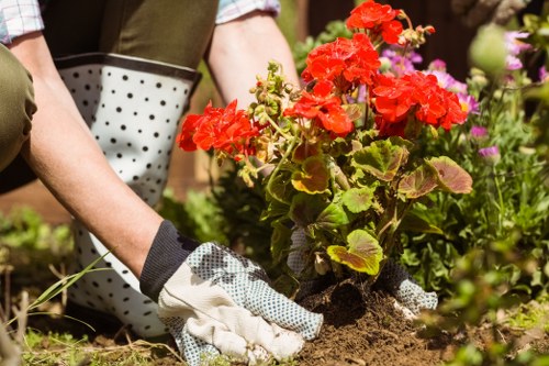 Charity donation of reusable garden items from a landscaping project