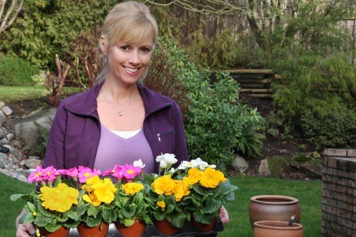 Protected checkout for landscaping payments in Wimbledon
