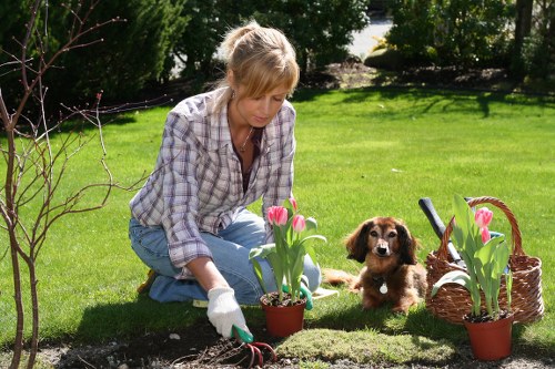 Close-up of a garden project inspection during a complaint review